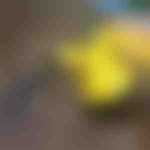 Desinfecterende stoomreiniger | VAPERO