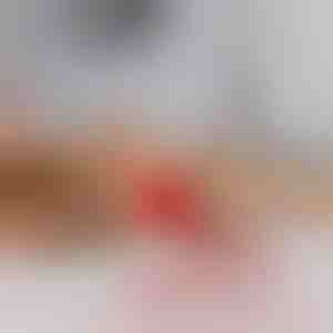 Huisdierspeeltje dat beweegt bij aanraking | GATOPLAY