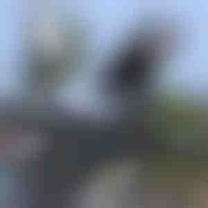 Universele waterdichte telefoonhouder voor de fiets | BRACKZPHONE