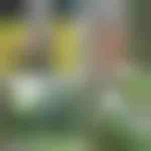 Draagbare douche | HYDROPORT